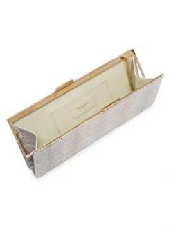Saint Laurent Small Snakeskin Clutch-On-Chain -Saint Laurent Sales Store unnamed file 1251